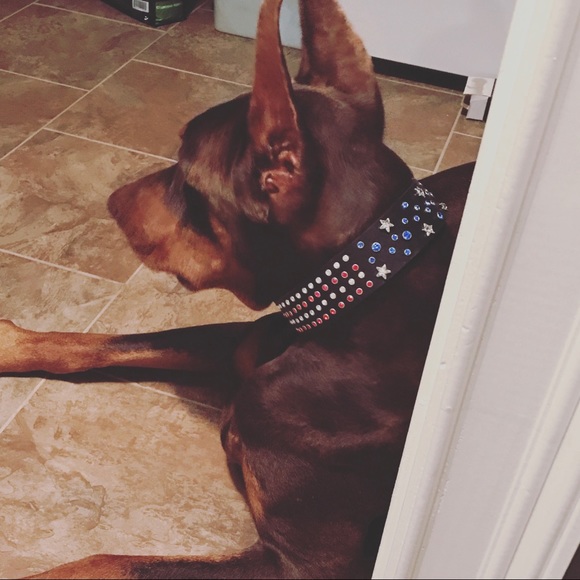 Meet your Posher, Sara - Picture 1 of 1